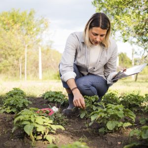 Farm Loans